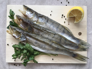 Окунь речной вяленый: Судак вяленый